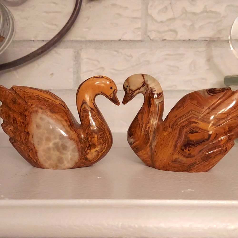 Set of gorgeous swans.